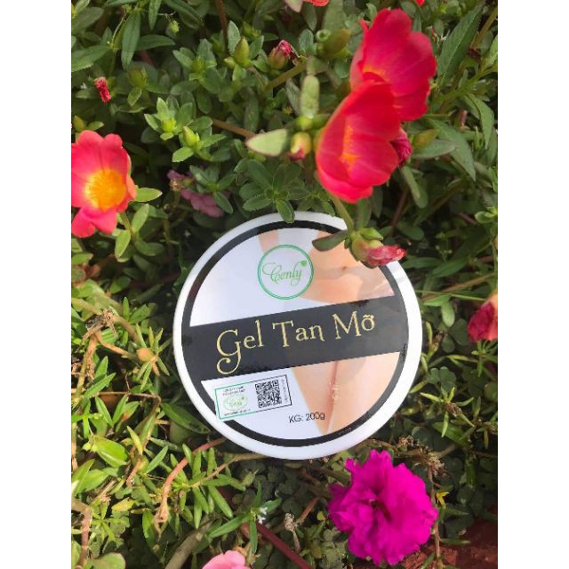 [GIẢM EO - BẮP - ĐÙI ]Gel Tan Mỡ Cenly | BigBuy360 - bigbuy360.vn