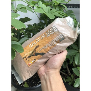 Cát sa mạc dành cho bò sát túi 2kg