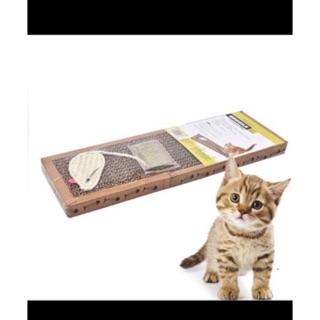 Bàn cào móng mèo cho mèo ( tặng kèm bịch catnip)