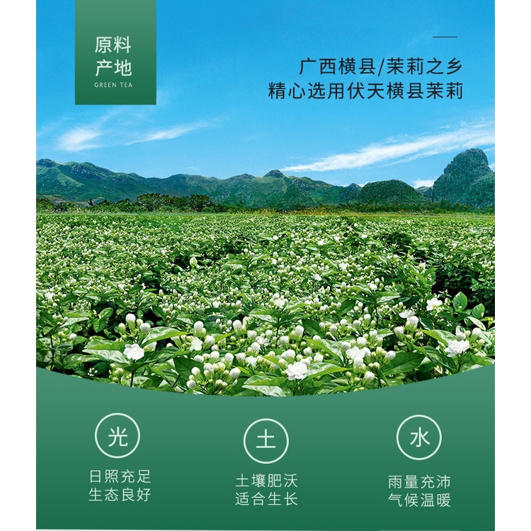 Trà Nhài Giọt nước gói 500g lục trà chanh