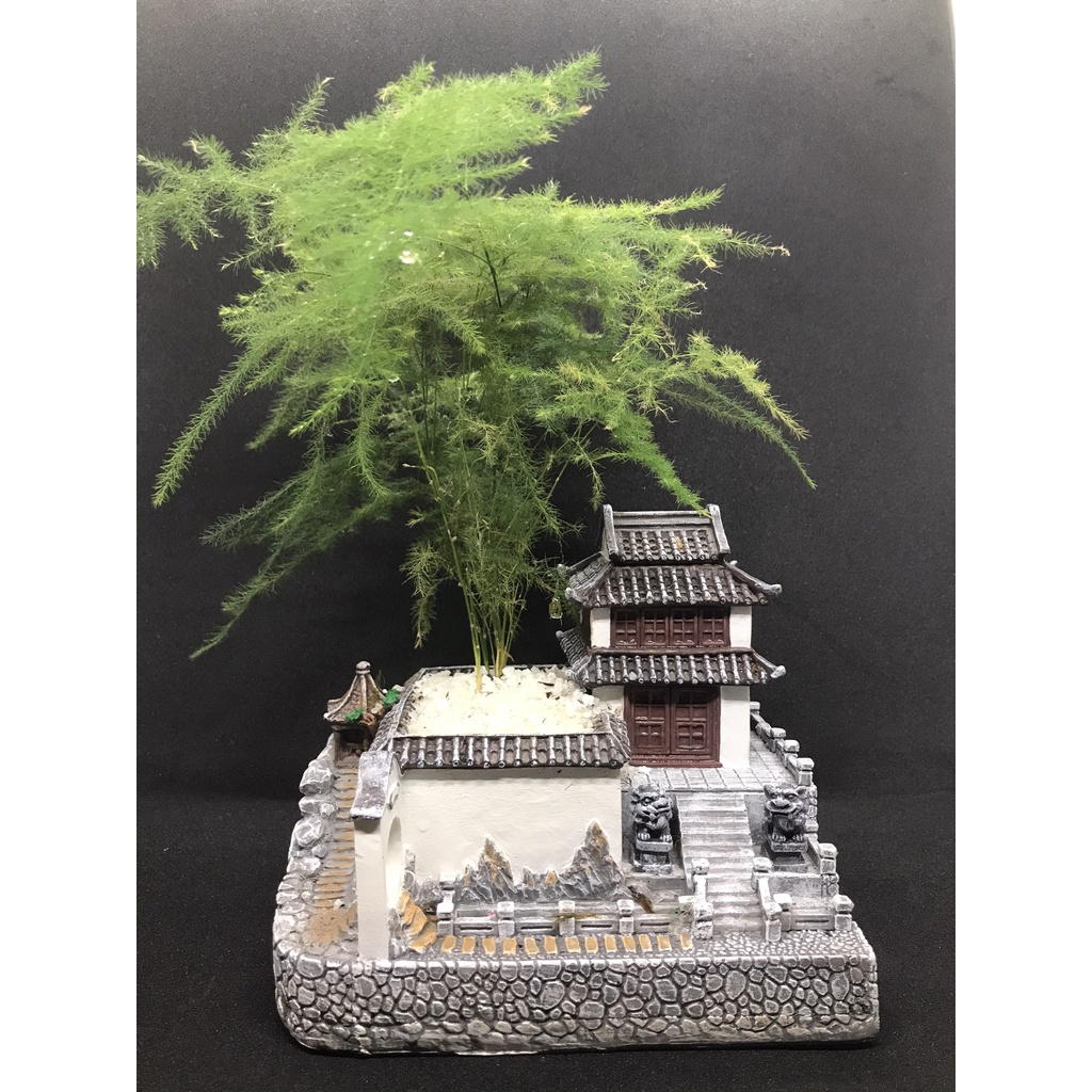 Mô hình trồng cây tiểu cảnh nhà cổ trung quốc