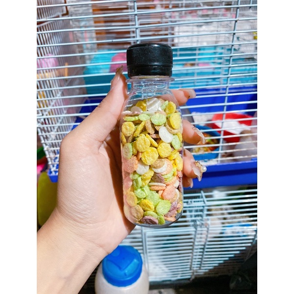 Snack bắp cán dẹt - bổ sung vitamin, chất xơ cho hamster.