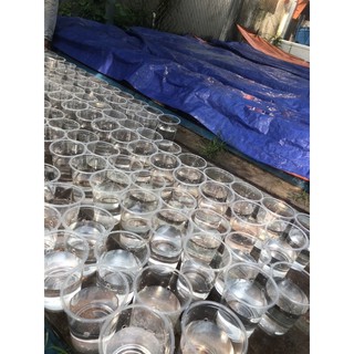 BETTA COMBO 5 BÉ THUỶ SINH