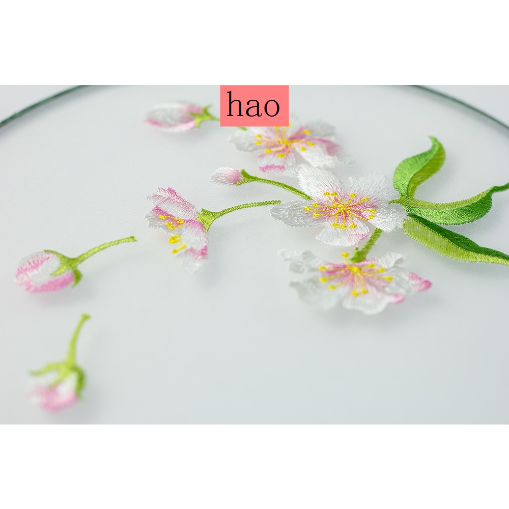 Quạt Tròn Cầm Tay Bằng Lụa Trong Suốt Thêu Họa Tiết Phong Cách Cổ Điển Phối Tua Rua Thời Trang Cho Nữ