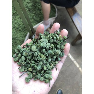 500g Nụ Tam Thất bao tử siêu rẻ