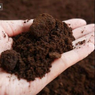 500g bã Cà phê tẩy da chết