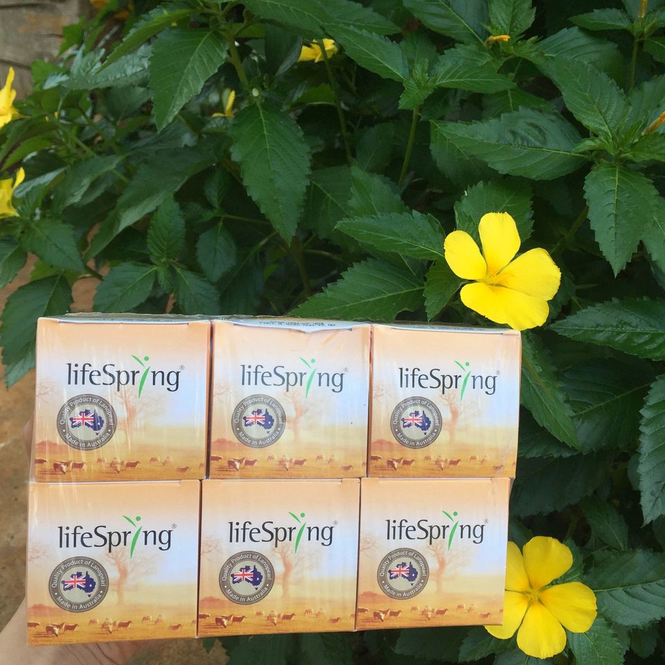 Kem nhau thai cừu Úc LifeSpring Collagen Q10 Plus