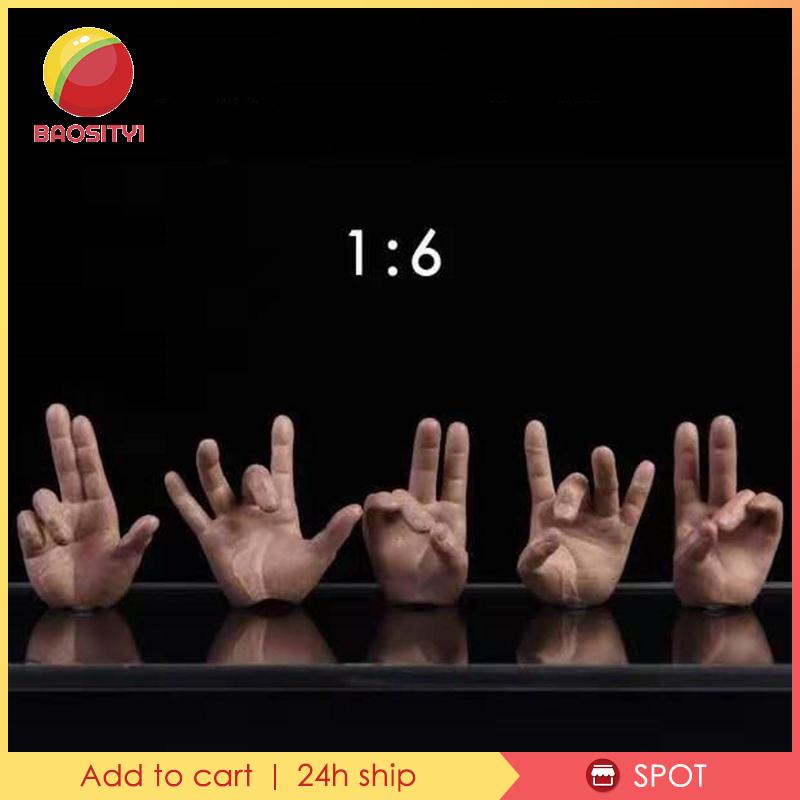 Bộ 5 Mô Hình Bàn Tay Nam Giới Bằng Lúa Mạch 1 / 6 DML HT PH 12 ''