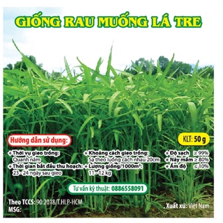 Hạt giống rau muống lá tre gói 50gr - hóa nông