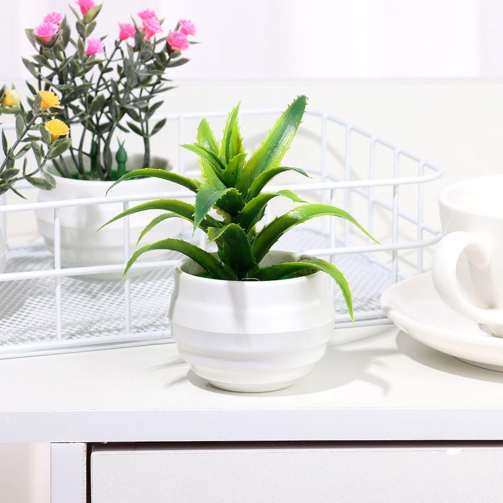 Chậu Cây Bonsai Giả Dùng Trang Trí Nhà Cửa