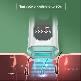 Máy Triệt Lông Cầm Tay Cá Nhân Cao Cấp