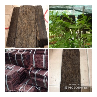 COMBO-5 MIẾNG DỚN BẢNG TRỒNG LAN