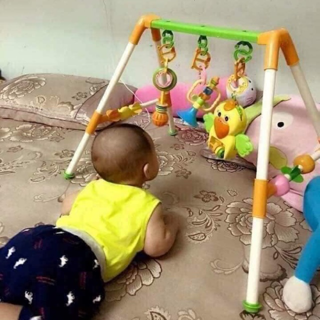 Combo 3 kệ chữ A con vẹt