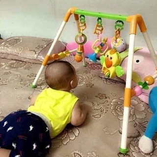 Combo 3 kệ chữ A con vẹt
