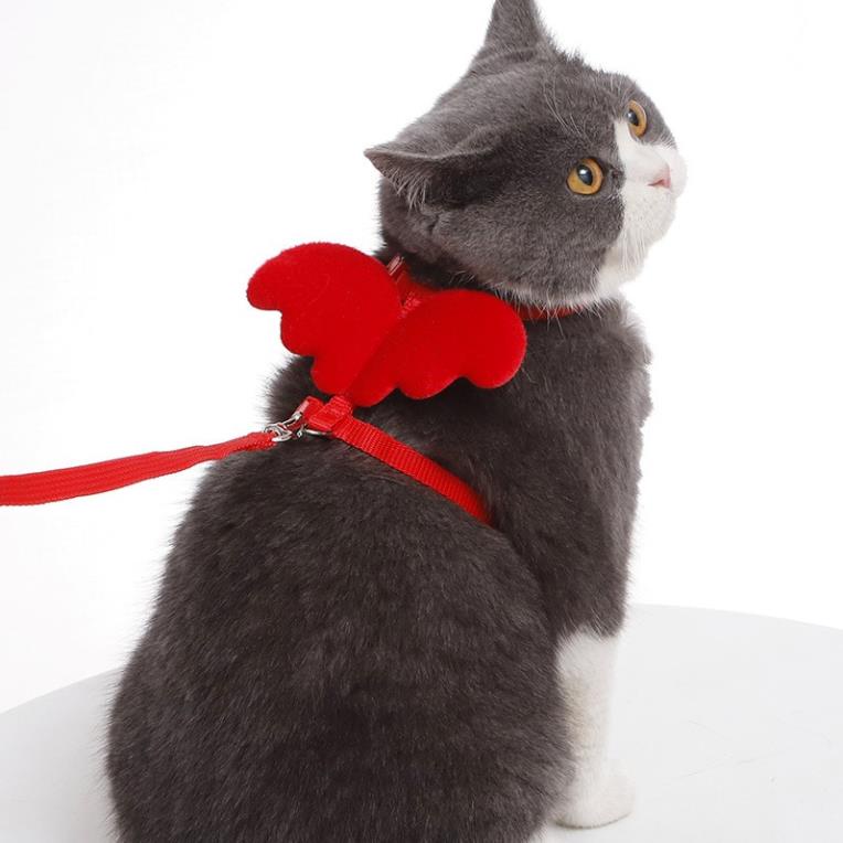 Bộ Dây dắt chó mèo đôi cánh thiên thần xích mèo phù hợp cho chó mèo từ 1-8kg