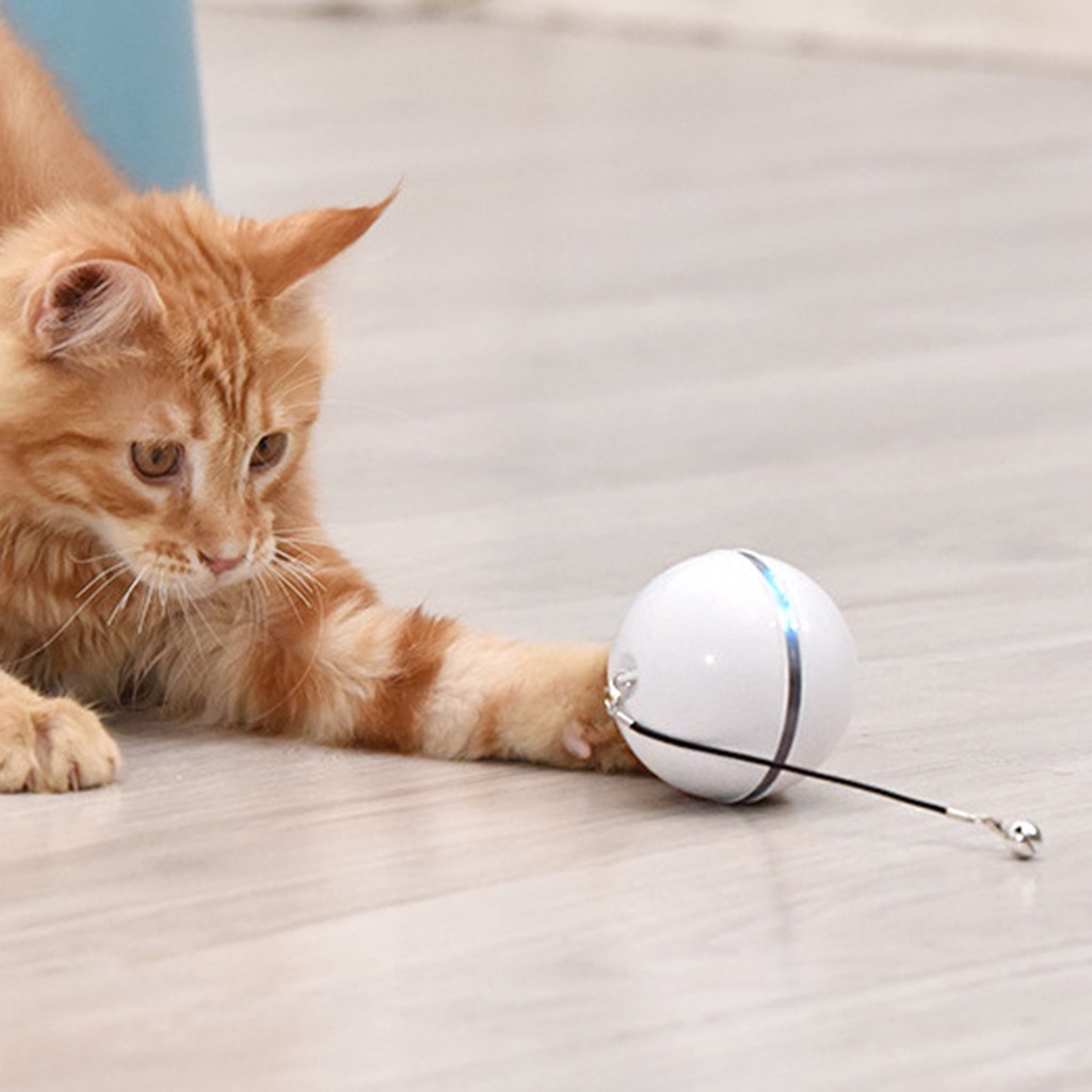 Đồ Chơi Quả Bóng Nhựa Đổi Màu Có Đèn LED Vui Nhộn Cho Mèo