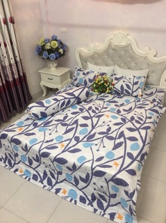 Chăn ga gối poly
