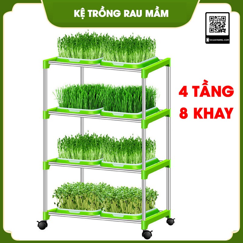 Kệ khay trồng rau mầm thủy canh chuyên dụng 2, 3, 4, 5, 6 tầng