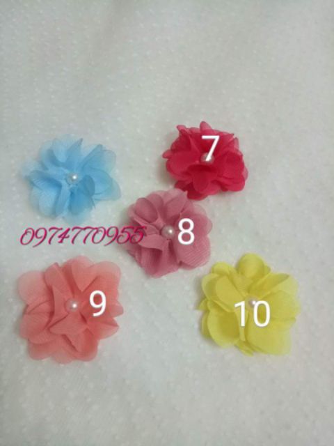 Hoa chiffon.