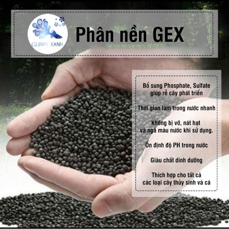 Phân nền Gex xanh cho hồ cá thủy sinh - Trồng cây thủy sinh