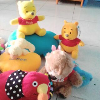 Gấu của triệu thi quyên nha