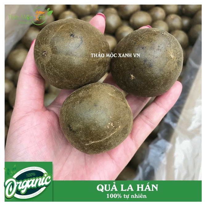LA HÁN QUẢ_10 Trái