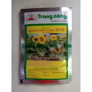 Hoa hướng dương victoria tn 573