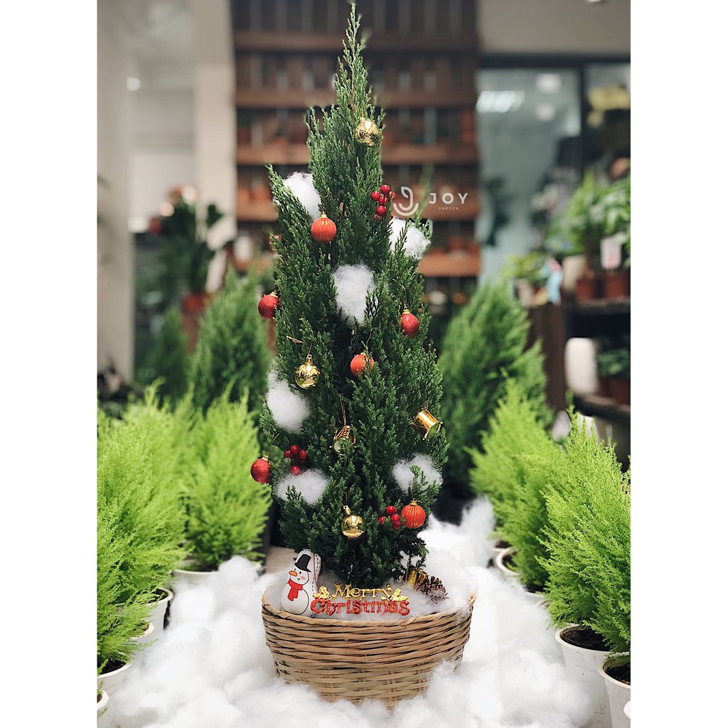 Bông gòn trang trí noel, bông giả tuyết mây giả 1kg HOA GẠO GGK1 trắng, đàn hồi tốt giá rẻ