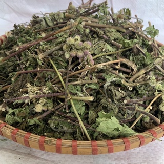 Thảo dược cây Ngũ Sắc khô 1kg