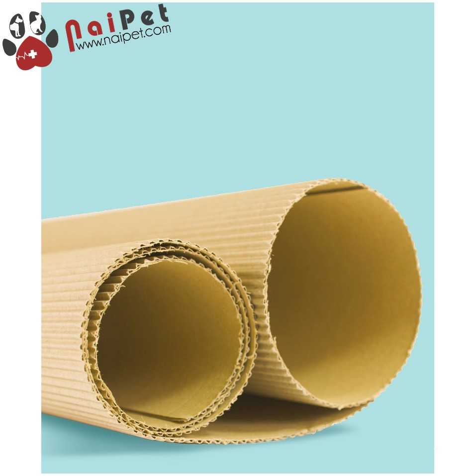 Đồ Chơi Bàn Cào Móng Sóng Bằng Carton Cho Mèo BCM002