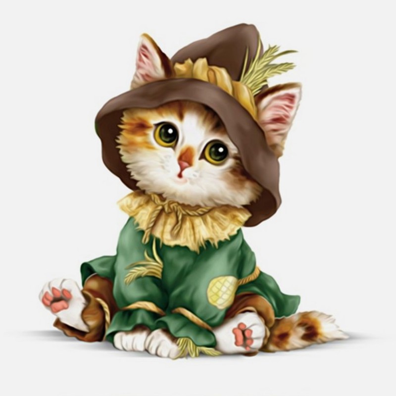 Bộ làm tranh thủ công đính đá hình chú mèo 5D | BigBuy360 - bigbuy360.vn