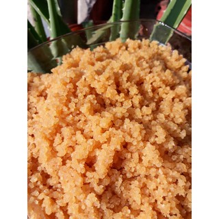 Nấm kefir + rây lọc nấm + 500 gram đường mía