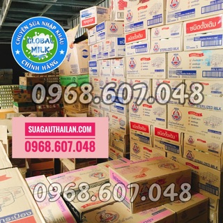 {6 lon} Sữa Gấu Thái Lan
