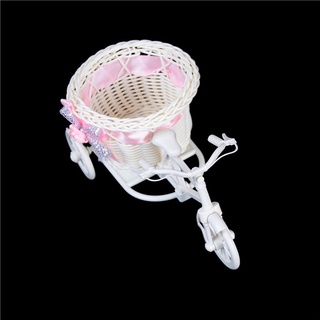 Bộ 2 Bình Hoa Dạng Bện Hình Xe Đạp Lãng Mạn