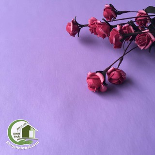 Phông nền chụp hình - giấy dán tường màu tím nhạt - [ 50cm x khổ 1,2m ] - thảm chụp hình ảnh sản phẩm