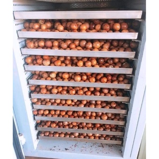 500G Hạt macca Daklak to ngon