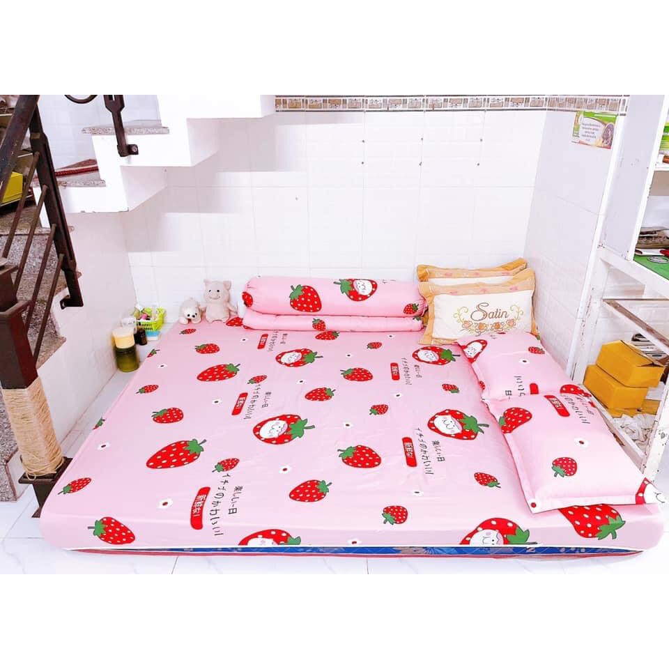 Bộ ga giường 1m6 1m8 💖 ẢNH THẬT 💖 1 ra nệm 2 áo gối 45 x 65 cm mẫu caro 4 màu - LINHALMONDS