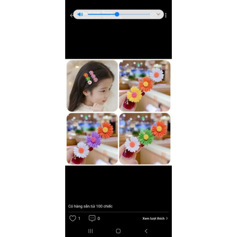 sét kẹp tóc hoa cúc 3 bông
