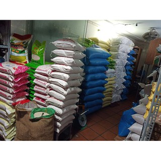 Tám Thái bao 10kg: Cơm trắng, dẻo