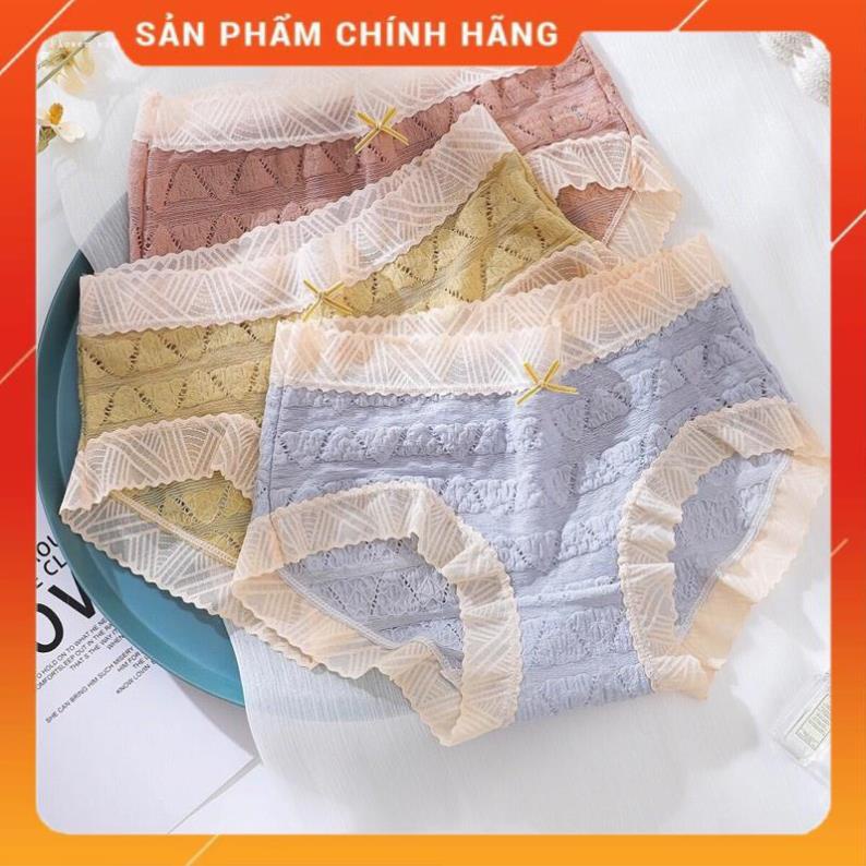 Quần Lót Ren Màu Dễ Thương Mềm Mịn Mẫu Mới Hot 258