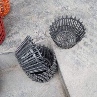 Chậu treo lan phi 20