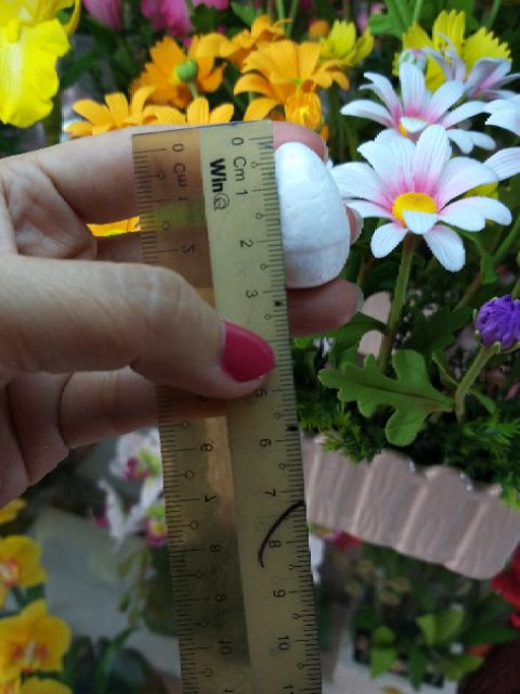 XỐP LÀM NỤ 3.0CM