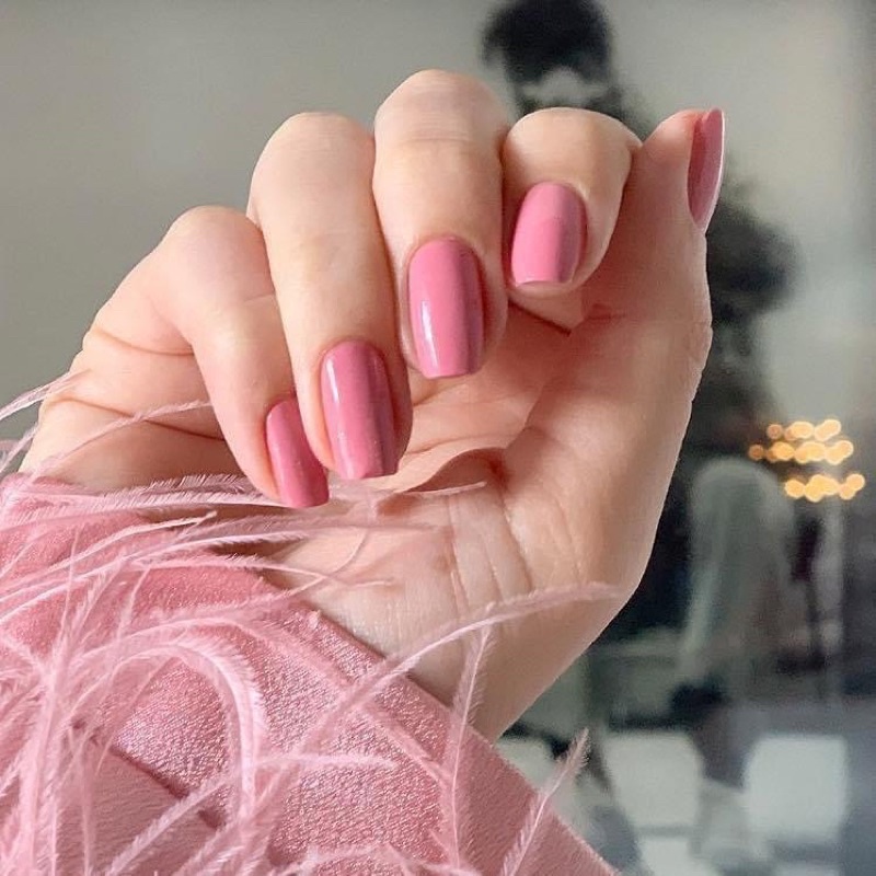 𝐒𝐎̛𝐍 𝐌𝐎́𝐍𝐆 𝐓𝐀𝐘 𝐎𝐏𝐈 - 𝐍𝐋𝐇𝟎𝟎𝟏/𝐈𝐒𝐋𝐇𝟎𝟎𝟏 - 𝐒𝐔𝐙𝐈 𝐂𝐀𝐋𝐋𝐒 𝐓𝐇𝐄 𝐏𝐀𝐏𝐀𝐑𝐀𝐙𝐙𝐈