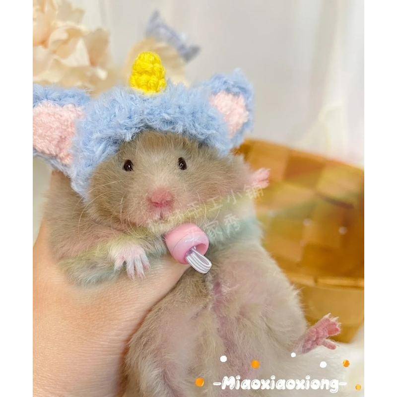 Mũ Tai Bèo Hình Gấu Vàng / Thỏ / Cà Rốt / Luffy Dễ Thương Cho Chuột Hamster