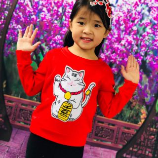 Combo 10 áo nỉ bông hình mèo thần tài