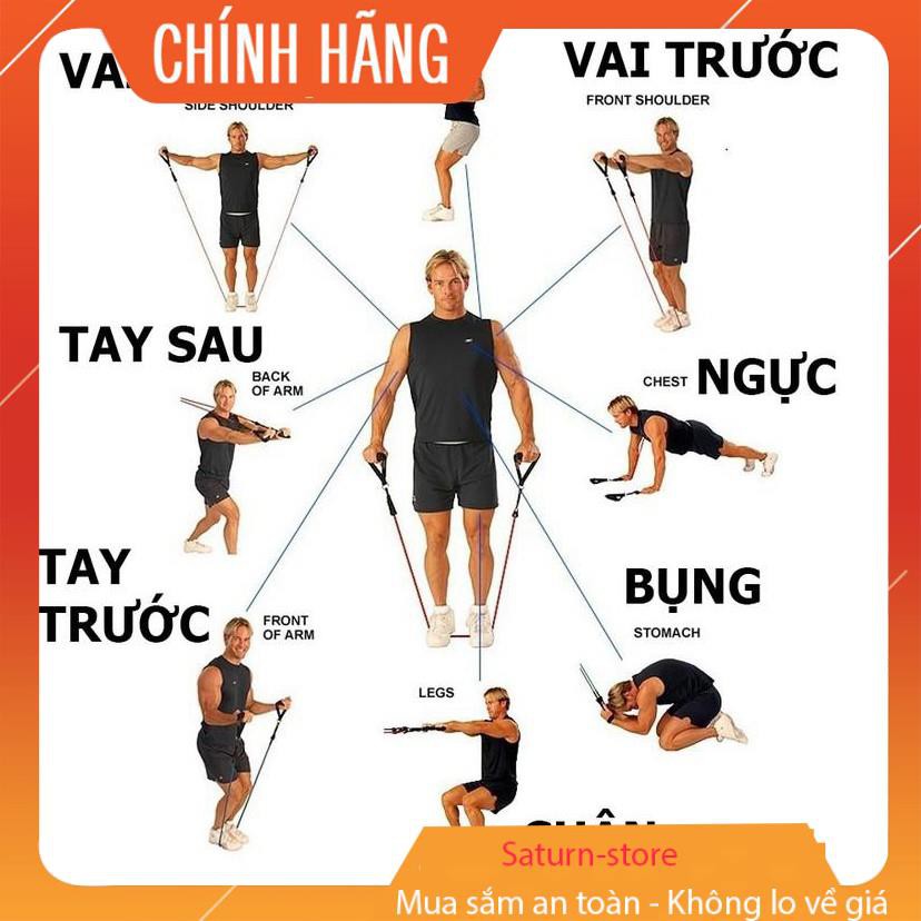 ( Giá rẻ hủy diệt) -  Dây tập gym tại nhà, dây đàn hồi tập gym, tập gym tại nhà, Bộ 5 Dây Đàn Hồi Tập Thể Hình, Bộ dây t