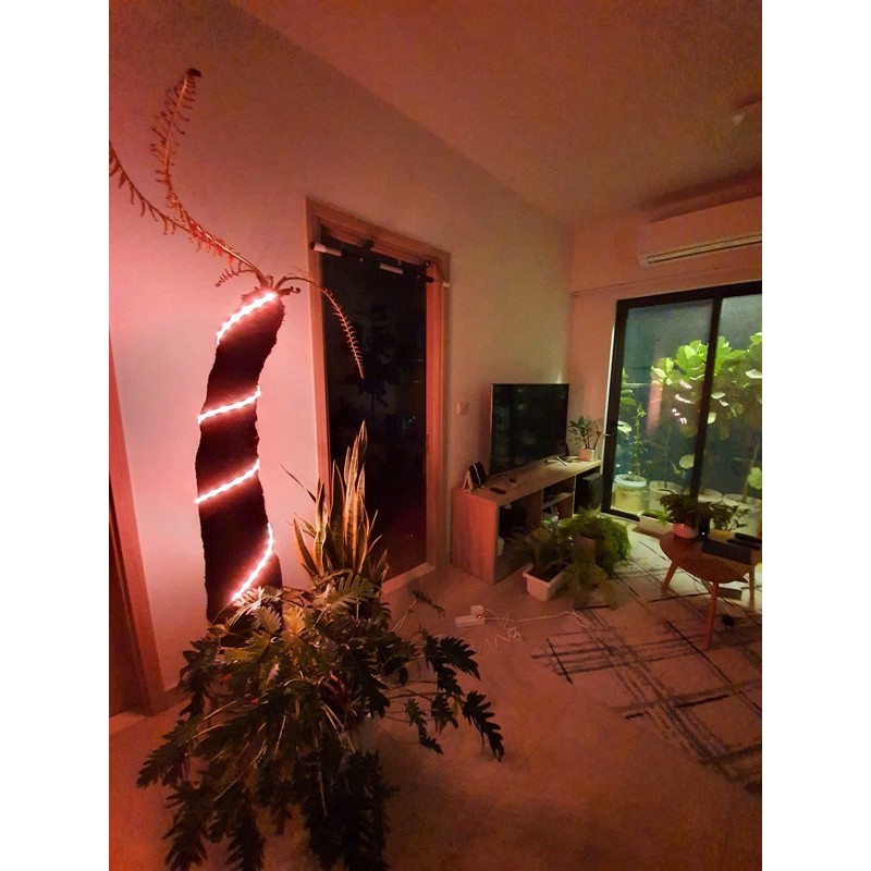 Bộ Đèn LED dây thông minh Yeelight Aurora Lightstrips 2m - Bản quốc tế -BH Chính Hãng 1 tháng