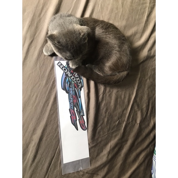 tem Wave Alpha 2007 (alpha xương cá)