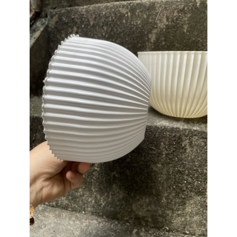 Chậu Gân sọc để bàn màu vàng sang trọng( đủ mầu)