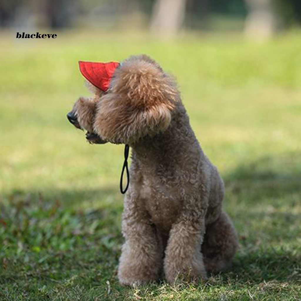 Mũ Lưỡi Trai Vành Rộng Nhiều Màu Sắc Cho Thú Cưng